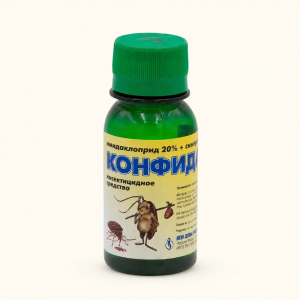 Конфидант