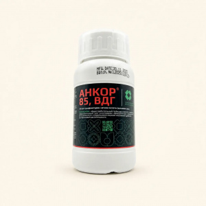 Анкор-85, ВДГ